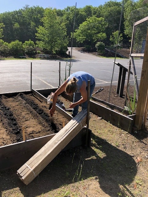 Volunteer Terry working in Garden
